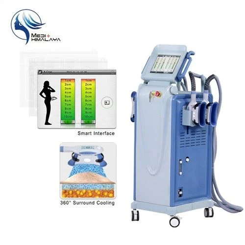뚱뚱한 얼기를 위한 Fda 반대로 셀룰라이트 Cryolipolysis 장비